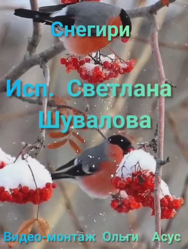 "СНЕГИРИ" Шувалова Светлана смотреть онлайн