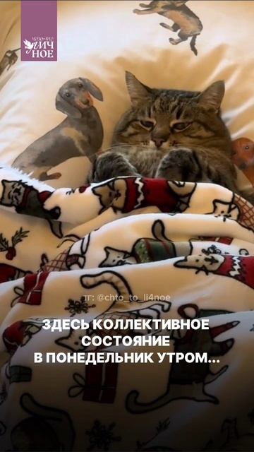 Понедельник утром — это состояние. смотреть онлайн