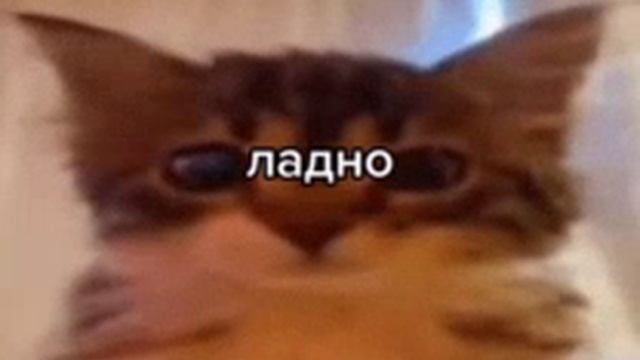 Кот ладно смотреть онлайн