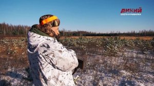 Большая загонная охота. Коллективная охота в Рязанской области