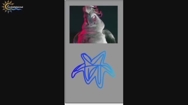 Blu and the Jewel: Sky Shooter (All Bosses) смотреть онлайн