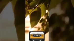 Песня:"Молодость не купишь!