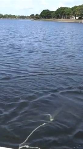 рыбалка неводом.mp4 смотреть онлайн