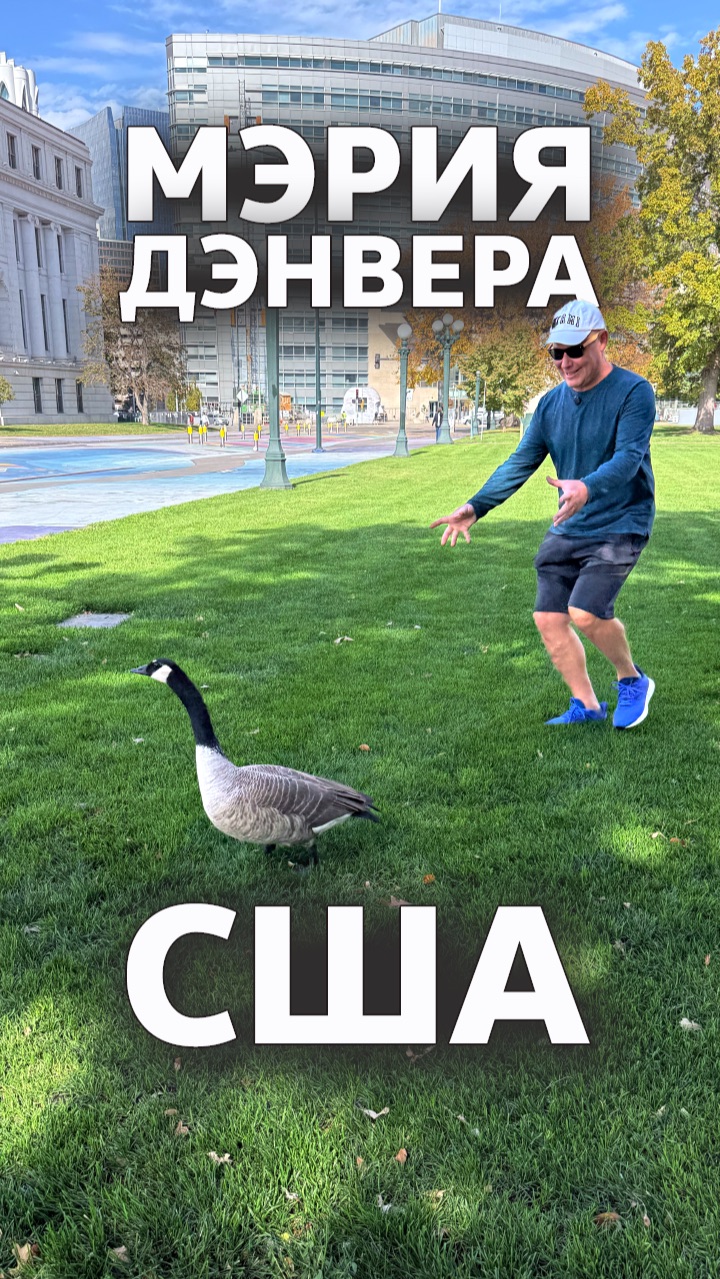 Встреча в парке / Мэрия Денвера // #США смотреть онлайн
