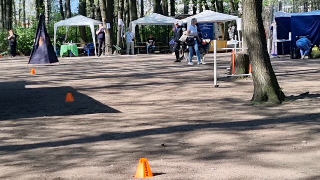 Русский Амулет Велибор для Барвиттера ПРК 19.05.24 смотреть онлайн