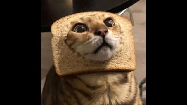 Просто подвеселить)) НЕ ЗАБЫВАЙТЕ ПРО КОНКУРСС))) смотреть онлайн