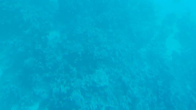 Путешествие в батискафе интересное и увлекательное  , полное надежд увидеть что то  необычное .