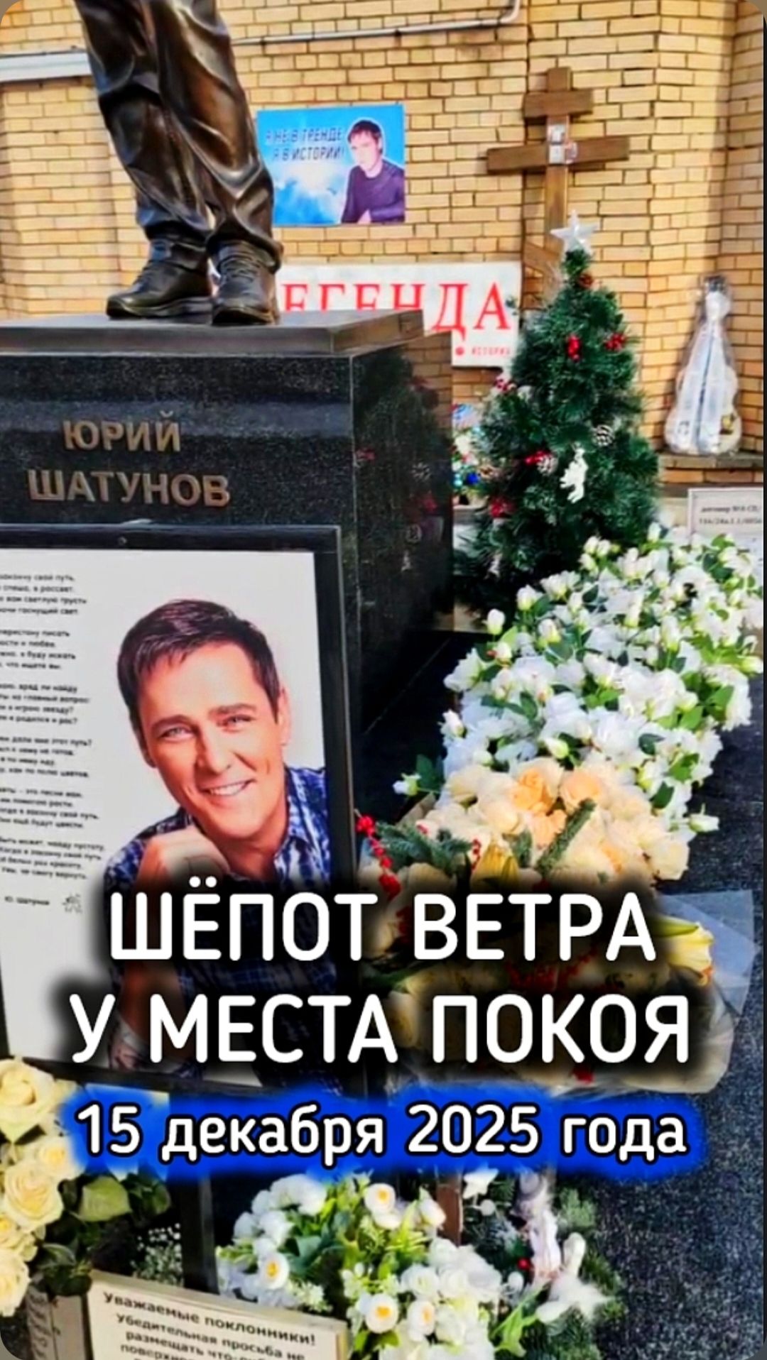 Атмосфера вечности: могила Юрия Шатунова #shorts #шатунов #белыерозы #ласковыймай #память #2025 смотреть онлайн