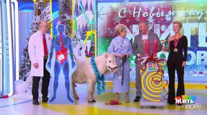 Каков всадник - такова и лошадь: конный спорт с точки зрения тела и разума. Жить здорово! Фрагмен...