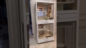 Детальное сравнение витрин для шиншилл | Обзор витрины для от Мира Шиншилл (новый перезалив)