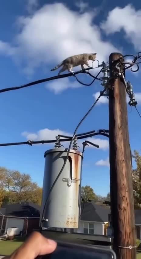 Семь жизнeй есть )) Пофиг 😂😂 смотреть онлайн