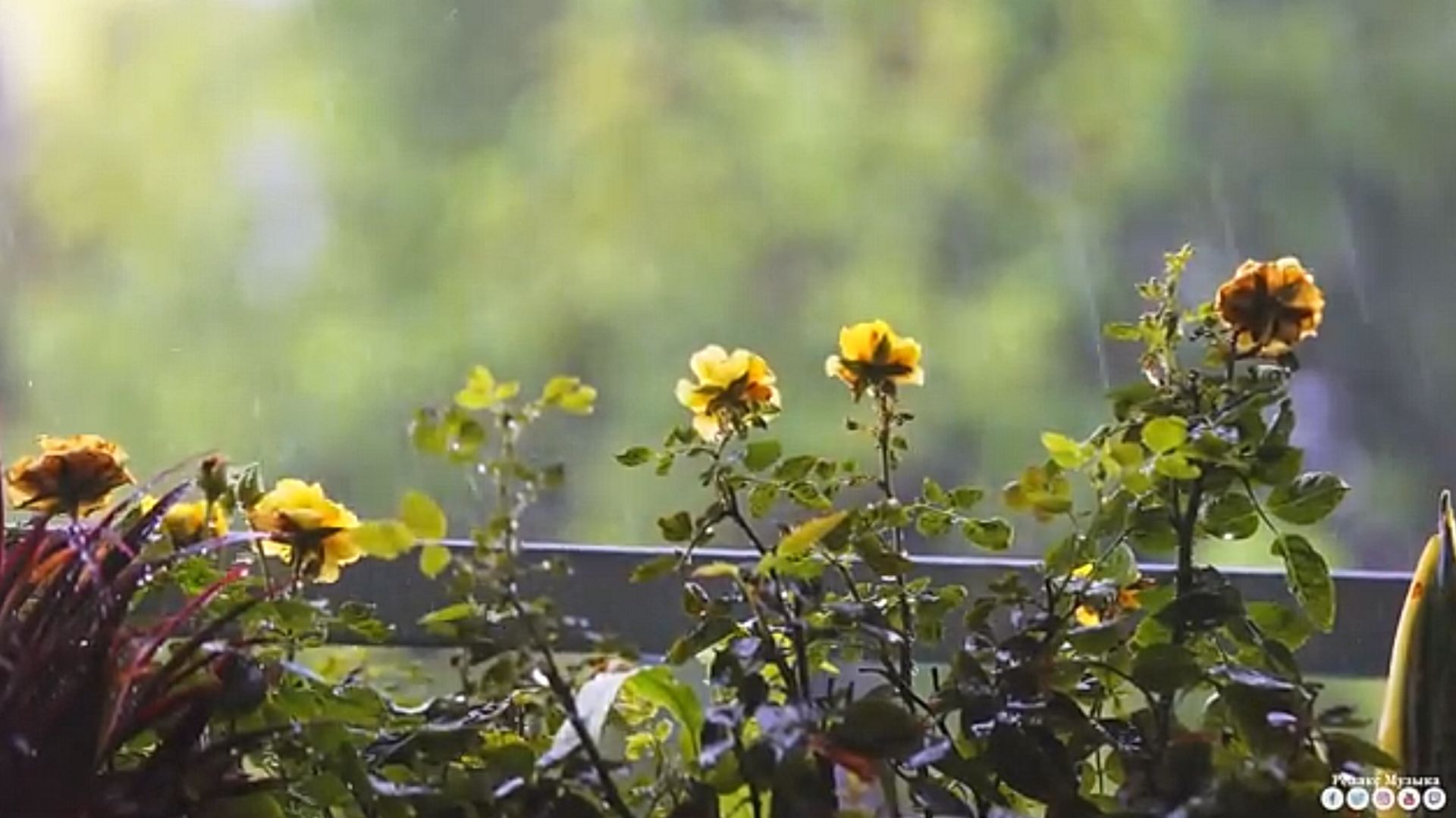 Вальс дождя @RelaxMusictv2023 • смотреть онлайн