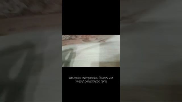 ОБЗОР БАНКНОТ! #шортс #ютуб #ютубшортс #обзор #банкнота #банкноты #shorts #youtube #youtubeshorts смотреть онлайн