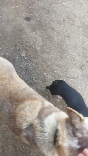 Милка со своими друзьями🤗