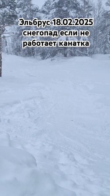 Эльбрус 18.02.2025 идёт снег, обучение катанию на горных лыжах, 89283344433 смотреть онлайн