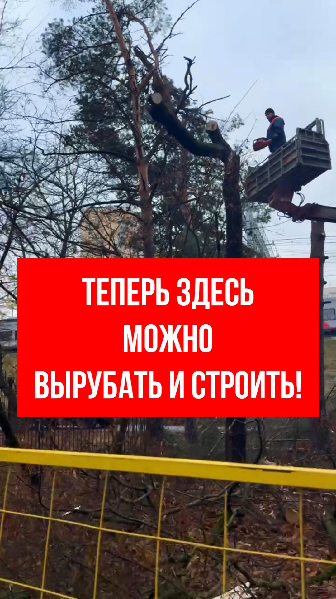 Теперь здесь можно вырубать и строить!