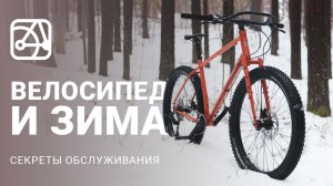 Зимний велосипед: советы от экспертов SHULZ по езде и обслуживанию