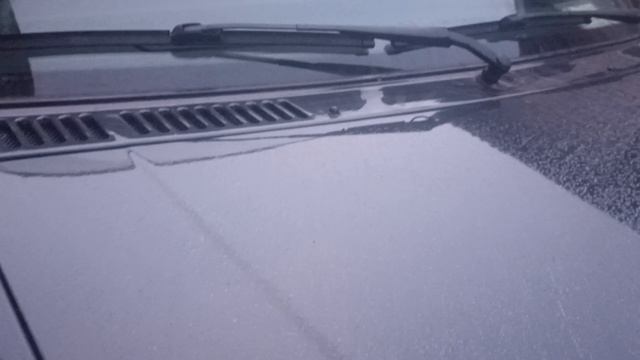 15.12.2025 смотреть онлайн