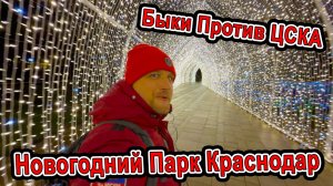НОВОГОДНИЙ парк #КРАСНОДАР - СТАДИОН игра БЫКИ Против ЦСКА Сергей Николаевич Галицкий СПАСИБО ВАМ