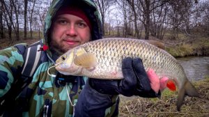 ВЗЯЛ КАБАНА на ЛИЧИНКУ 🐛 ЛОВЛЯ ЗИМНЕГО ГОЛАВЛЯ на СПИННИНГ / НОВИНКА 2025 - Eleven Lures Leench