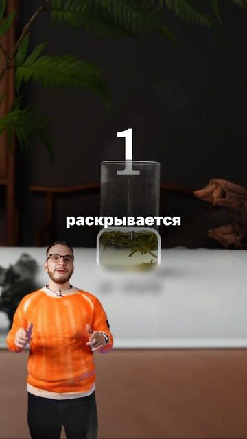 Один и тот же чай смотреть онлайн