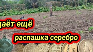 даёт ещё распашка серебро