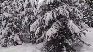 СНОВА ЗА ОКНОМ ЗИМА. КРАСИВАЯ ПЕСНЯ ДЛЯ ВАС