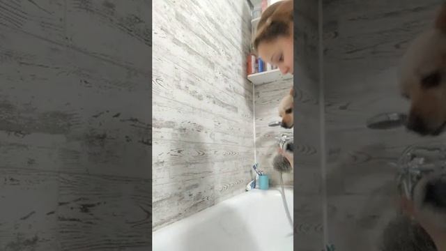 город 312 песня Невидимка смотреть онлайн