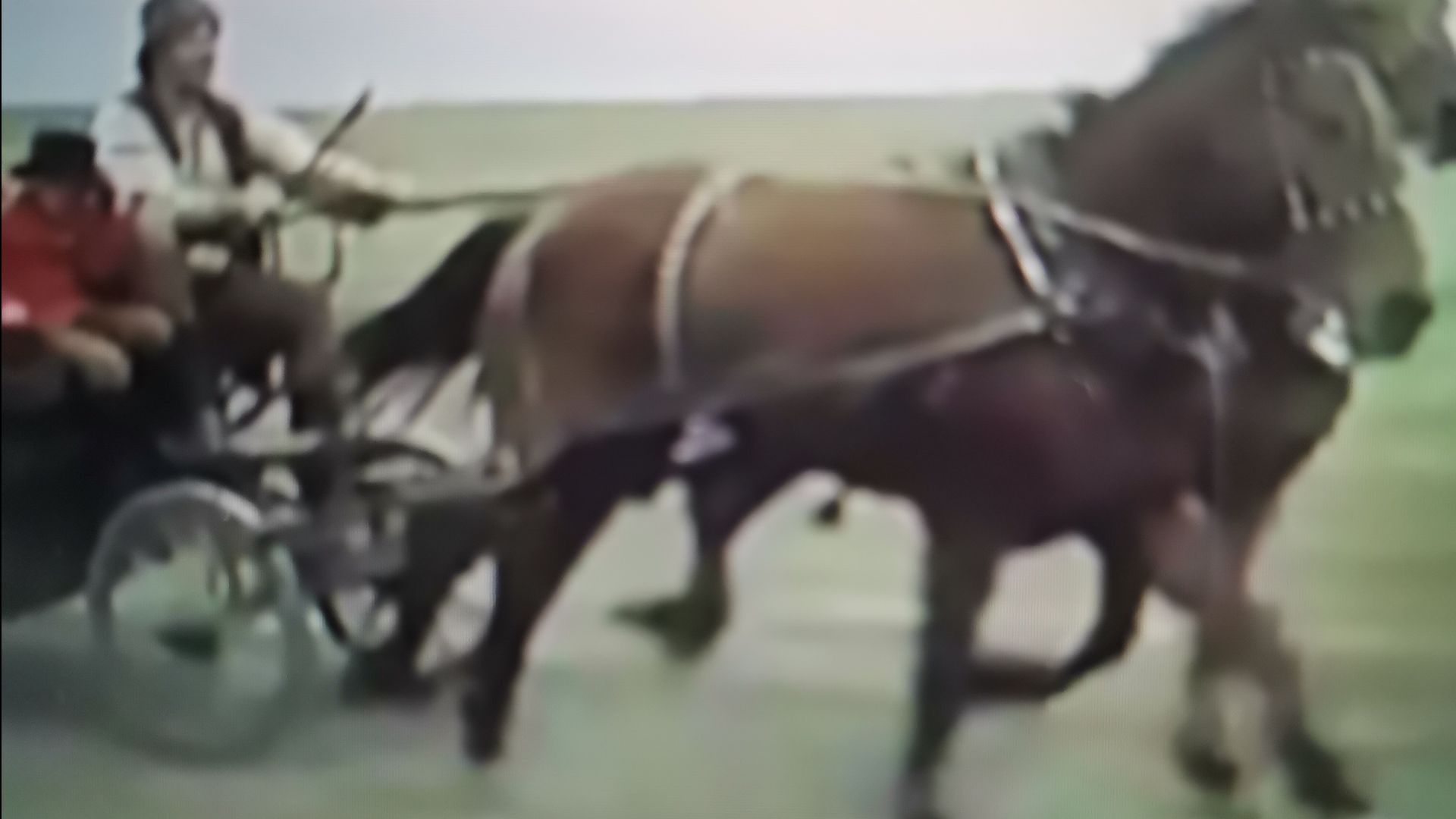 Прошлое кажется сном (Ямщик, не гони лошадей) смотреть онлайн