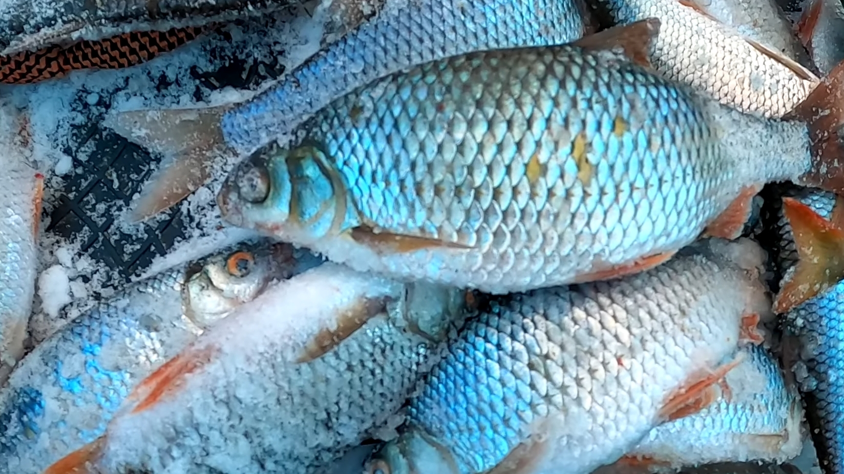 зимняя рыбалка на плотву , мормышка смотреть онлайн