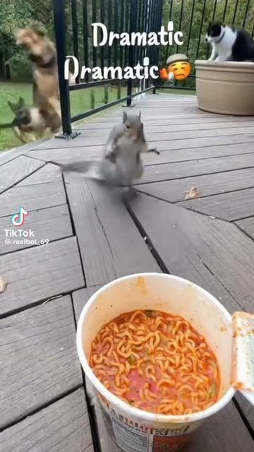 расул шиштапа