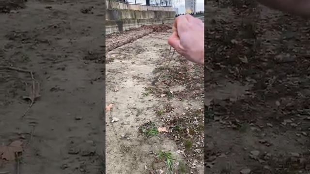 День крестов и копеек!