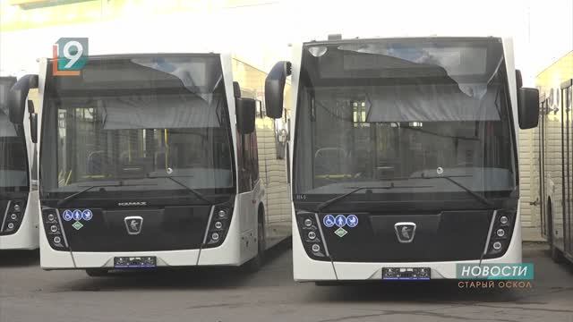 Новые, комфортные, большие: в Старый Оскол прибыли современные автобусы смотреть онлайн
