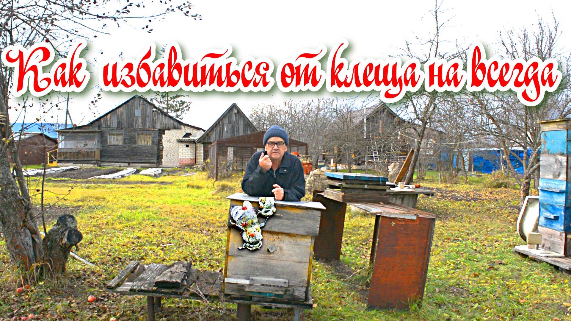 Как эффективно избавиться от клеща и какими препаратами я пользуюсь. Слет пчел. смотреть онлайн