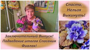 Спасти, Нельзя Выкинуть! Заключительный Выпуск! Подведение итогов Спасения Фиалок!