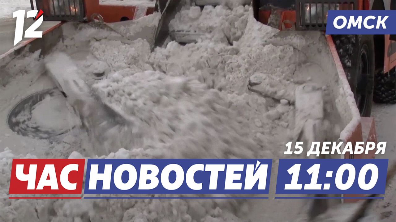 Ночной снегопад / Особый график выплат / Поставка ёлок. Новости Омска смотреть онлайн