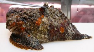 Японская уличная еда - каменная рыба