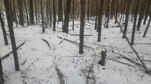 Металлокоп. 13.12.25😉