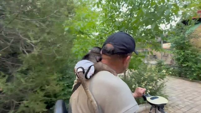 Анфиса СОСКУЧИЛАСЬ по папе Владу и мы с ней отправились искать его вместе))) смотреть онлайн