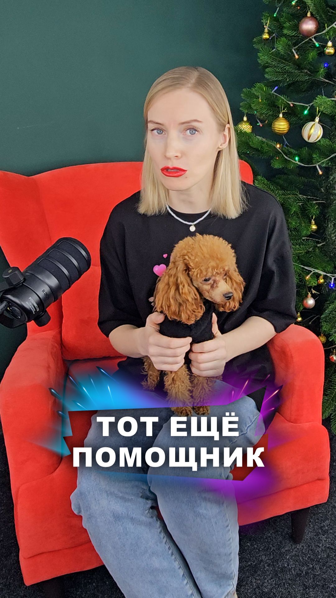 Справимся без помощников! #животные смотреть онлайн