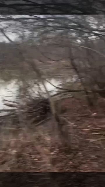 Неожиданный первый лёд в декабре. Парни проткнули надувную лодку.. и тонут!.. (Строго 18 +)! смотреть онлайн