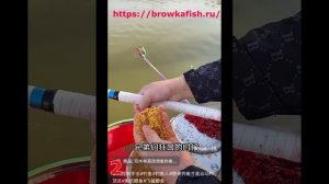 Ловля с прикормкой