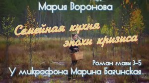Мария Воронова _Семейная кухня эпохи кризиса_ Роман главы 3-5 У микрофона Марина Багинская