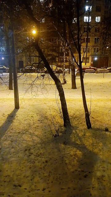 вечер смотреть онлайн