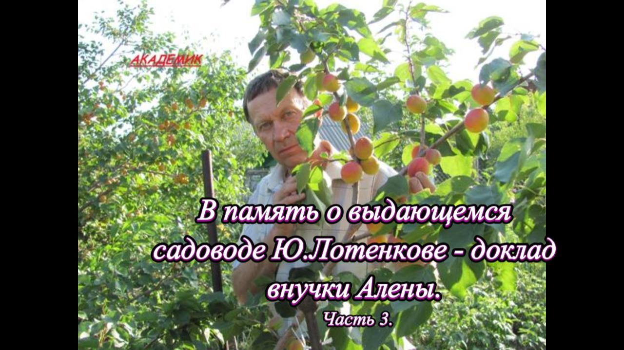 В память о выдающемся садоводе Ю.Лотенкове - доклад внучки Алены. Часть 3. смотреть онлайн