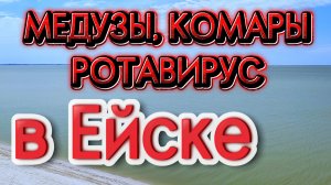 МЕДУЗЫ, КОМАРЫ, РОТАВИРУС В ЕЙСКЕ - только факты!