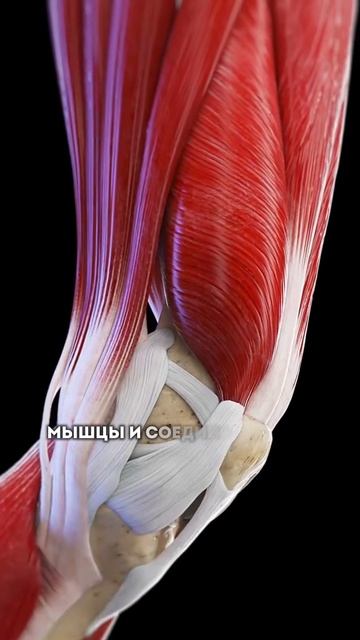 Что происходит во время ГОЛОДАНИЯ? смотреть онлайн