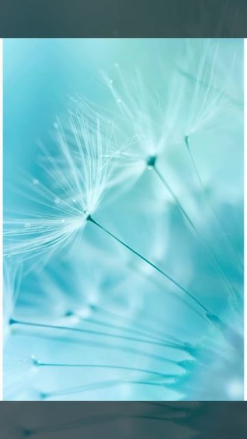 Футаж. Фон бирюзовый. смотреть онлайн