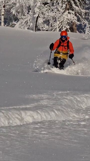 Одно место на фрирайд в ратрак в Приисковый на Новый год. Заезд 26.12. смотреть онлайн