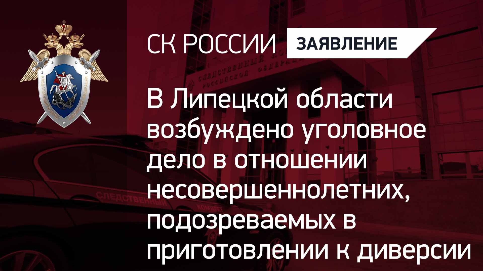 Возбуждено уголовное дело в отношении несовершеннолетних, подозреваемых в приготовлении к диверсии